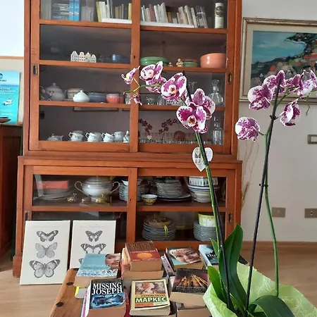 洛克多住宿加早餐酒店 3* 阿尔盖罗