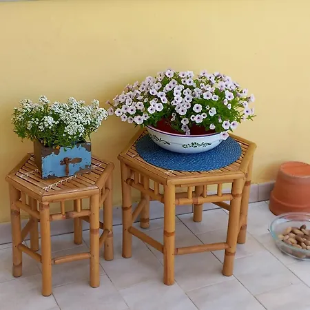 Lloc D'or Αλγκέρο