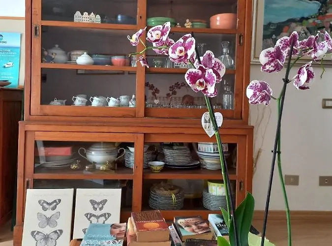 Lloc D'or 3* Alghero